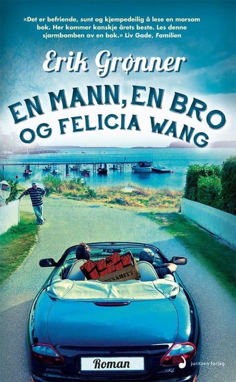 En mann, en bro og Felicia Wang - roman