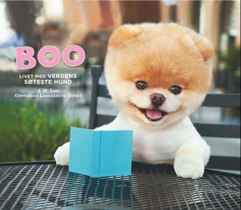 Boo - livet med verdens søteste hund