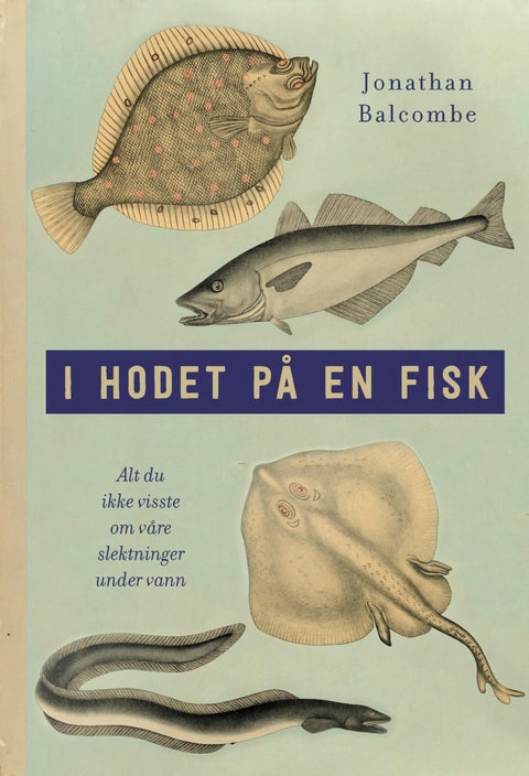 I hodet på en fisk - alt du ikke visste om våre slektninger under vann
