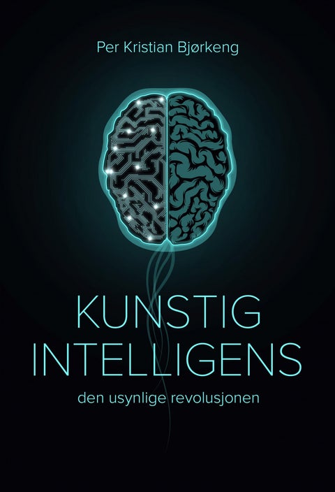 Kunstig intelligens - den usynlige revolusjonen