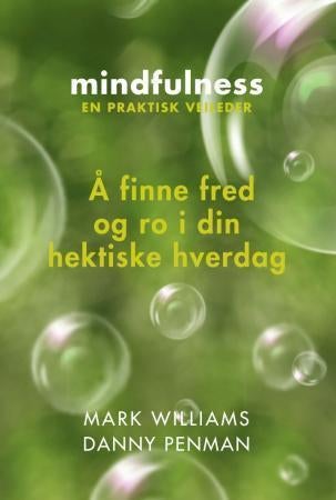 Mindfulness - å finne fred og ro i din hektiske hverdag : en praktisk veileder