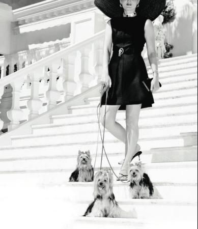 Den uproduktive klasse