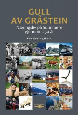 Gull av gråstein - næringsliv på Sunnmøre gjennom 250 år