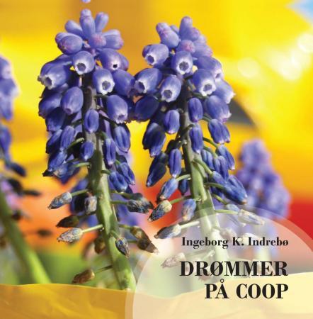 Drømmer på Coop - lyrikk gjennom året