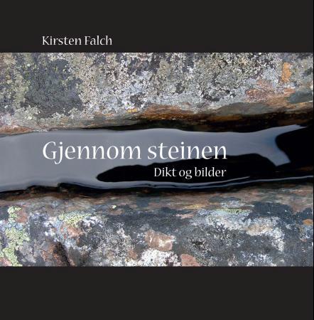 Gjennom steinen - dikt og bilder 2013