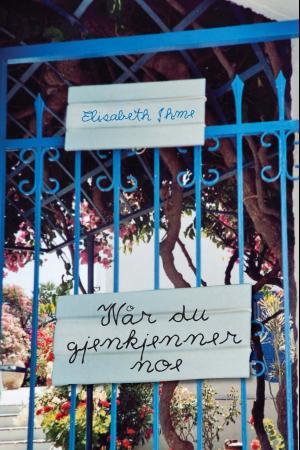 Når du gjenkjenner noe