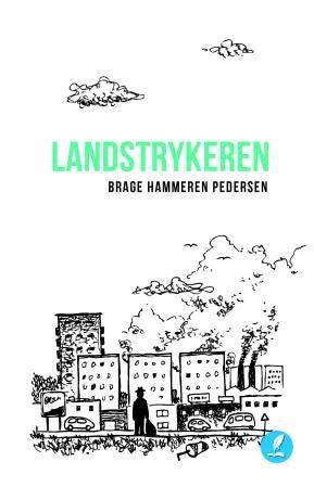 Landstrykeren