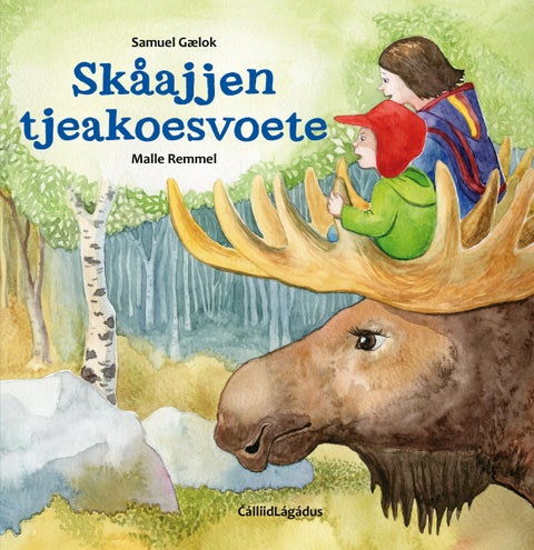 Skåajjen tjeakoesvoete