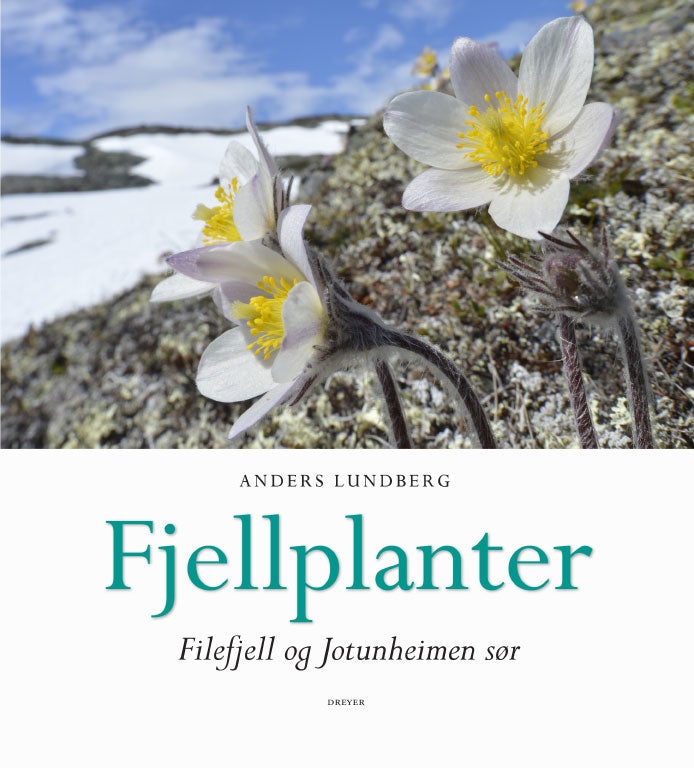 Bilde av Fjellplanter Av Anders Lundberg