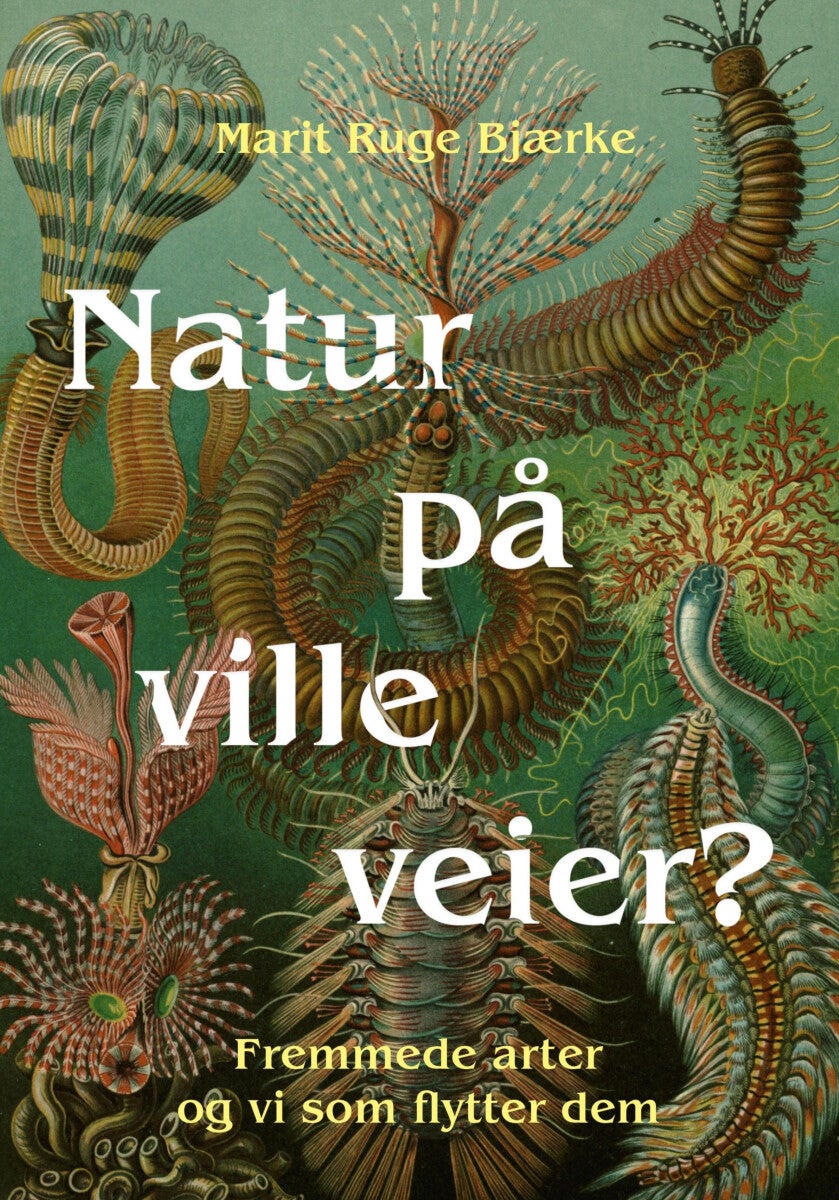 Natur på ville veier? - fremmede arter og vi som flytter dem