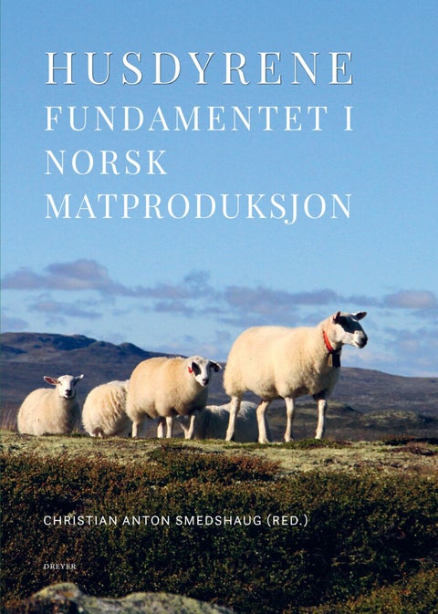 Husdyrene - fundamentet i norsk matproduksjon