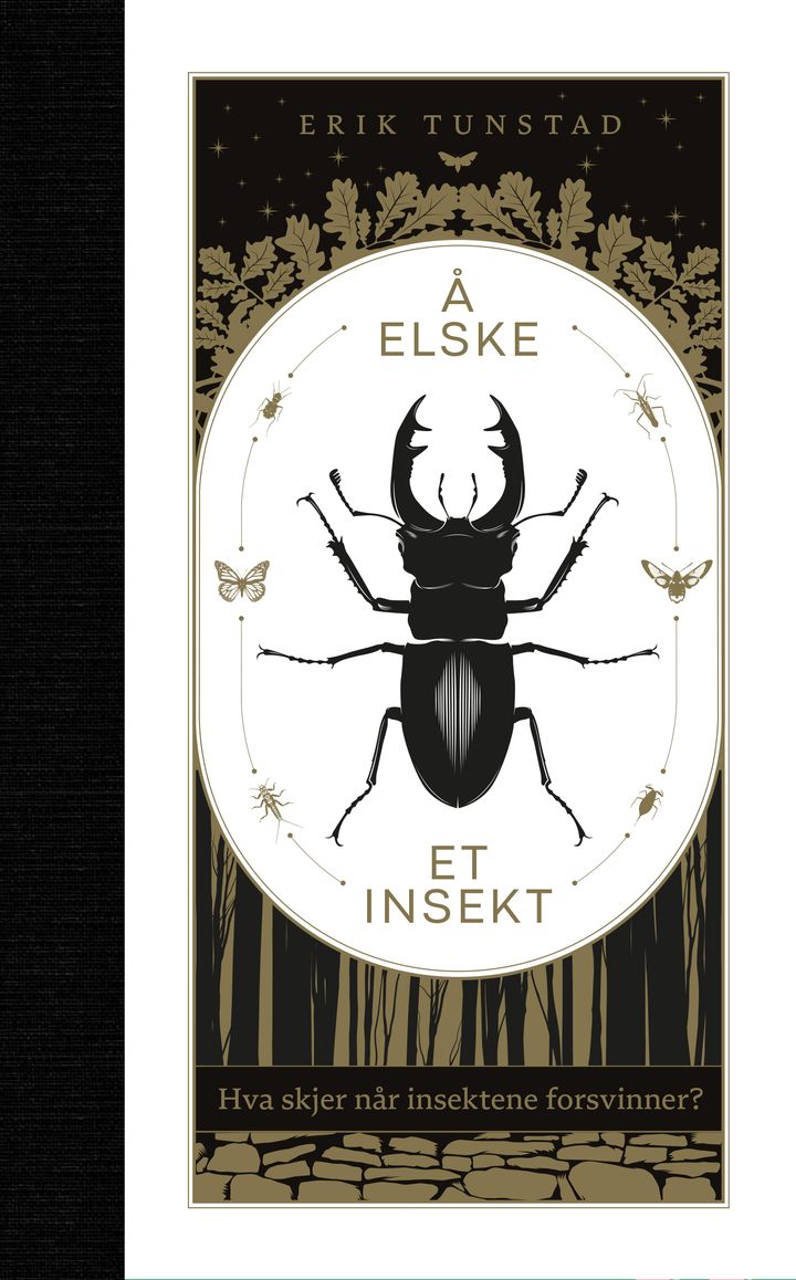 Bilde av Å Elske Et Insekt Av Erik Tunstad