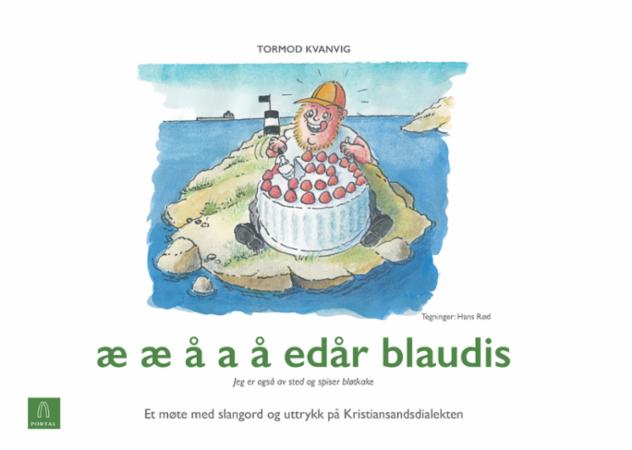 Æ æ å a å edår blaudis - jeg er også av sted og spiser bløtkake : et møte med uttale og slangord på kristiansandsdialekt