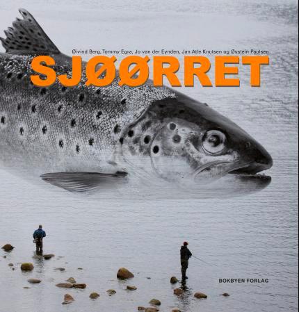 Sjøørret - et biologisk og kulturhistorisk portrett