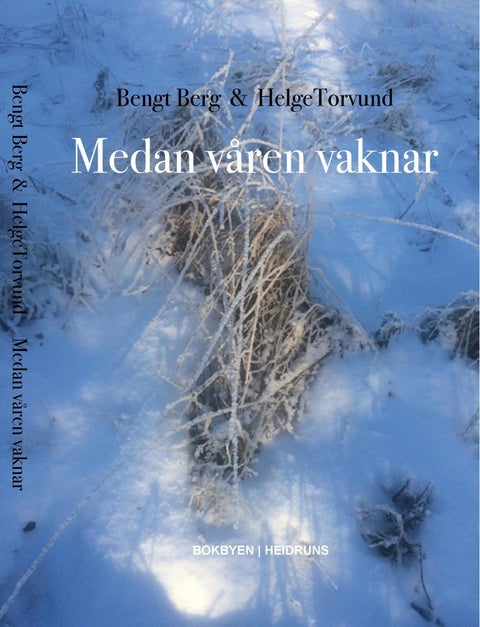 Medan våren vaknar - dikt