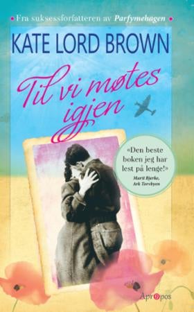 Til vi møtes igjen - roman