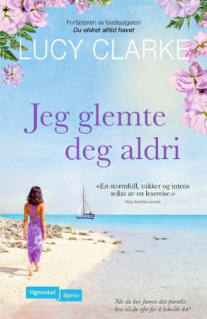 Jeg glemte deg aldri - roman