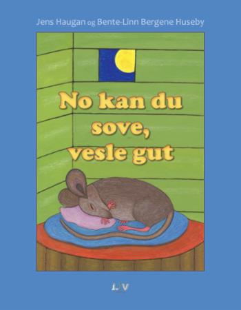 No kan du sove, vesle gut