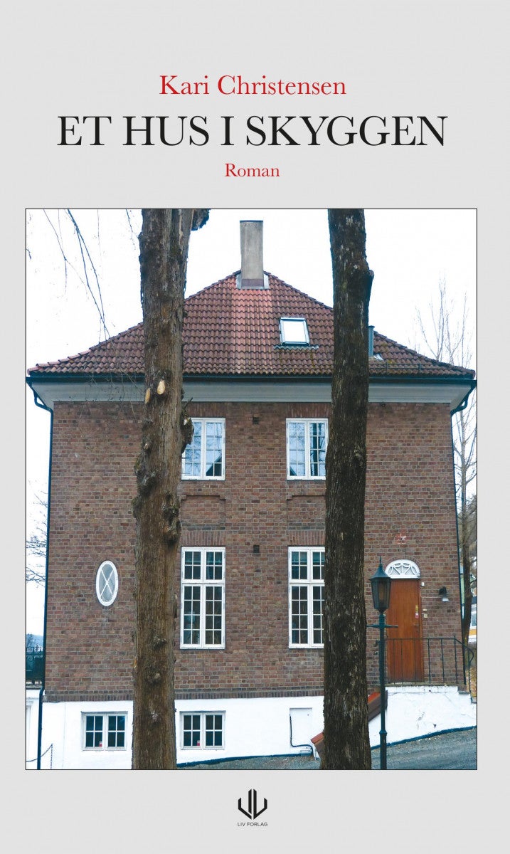 Et hus i skyggen - roman