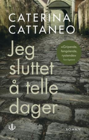 Jeg sluttet å telle dager - roman