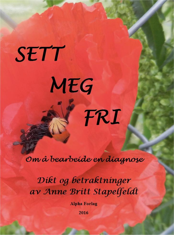 Sett meg fri - dikt og betraktninger,om å bearbeide en diagnose
