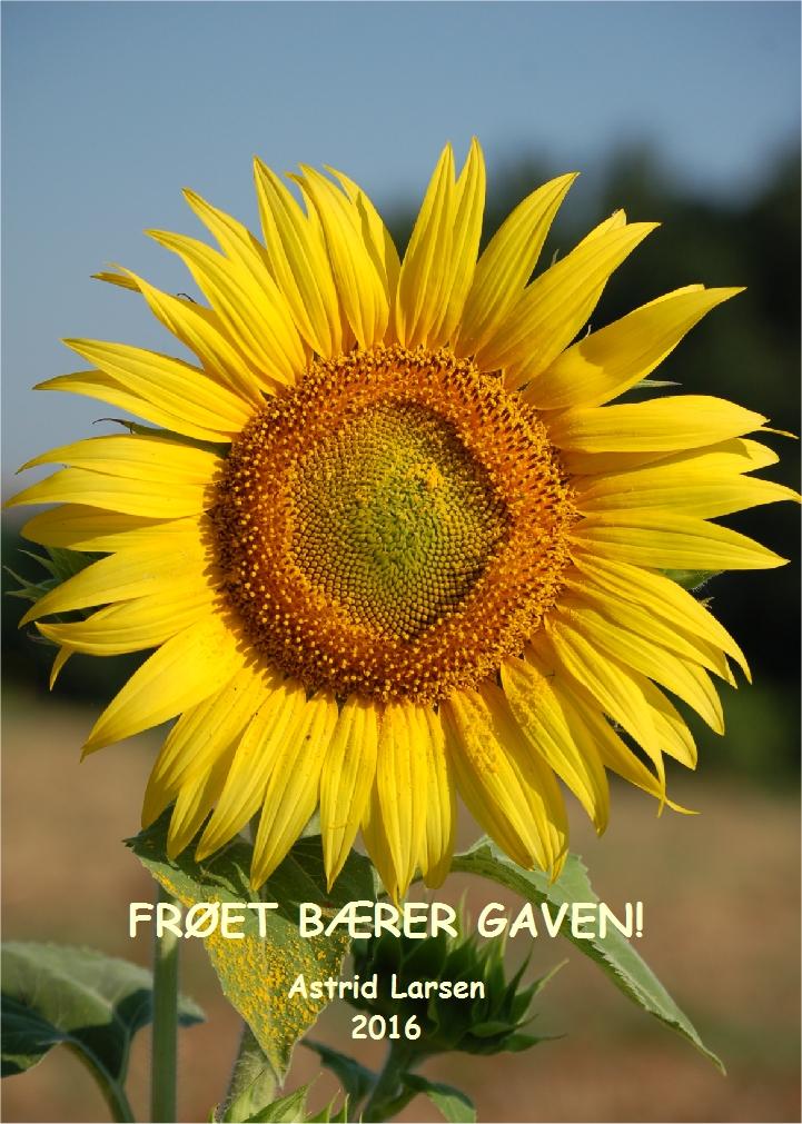 Frøet bærer gaven - en endringsreise i rammen av Guds kraft og kjærlighet