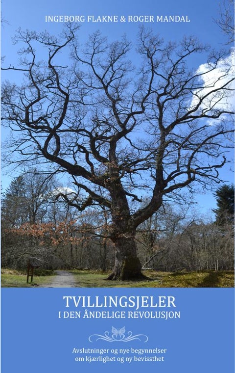 Tvillingsjeler i den åndelige revolusjon - avslutninger og nye begynnelser : om kjærlighet og ny bevissthet