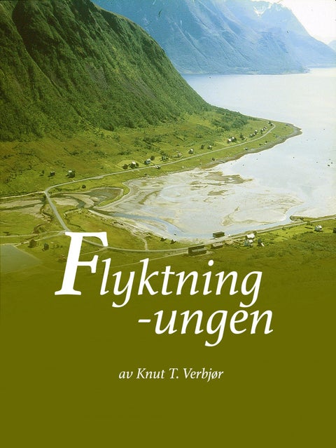 Flyktningungen