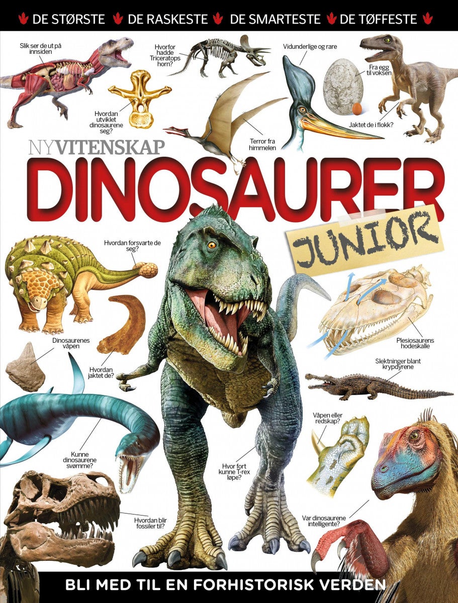 Dinosaurer - junior