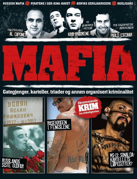 Mafia - gategjenger, karteller, triader og annen organisert kriminalitet