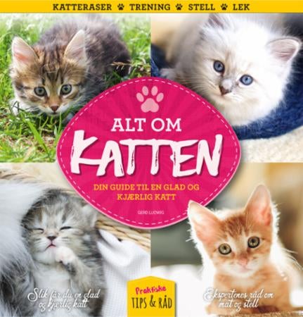 Alt om katten - din guide til en glad og kjærlig katt