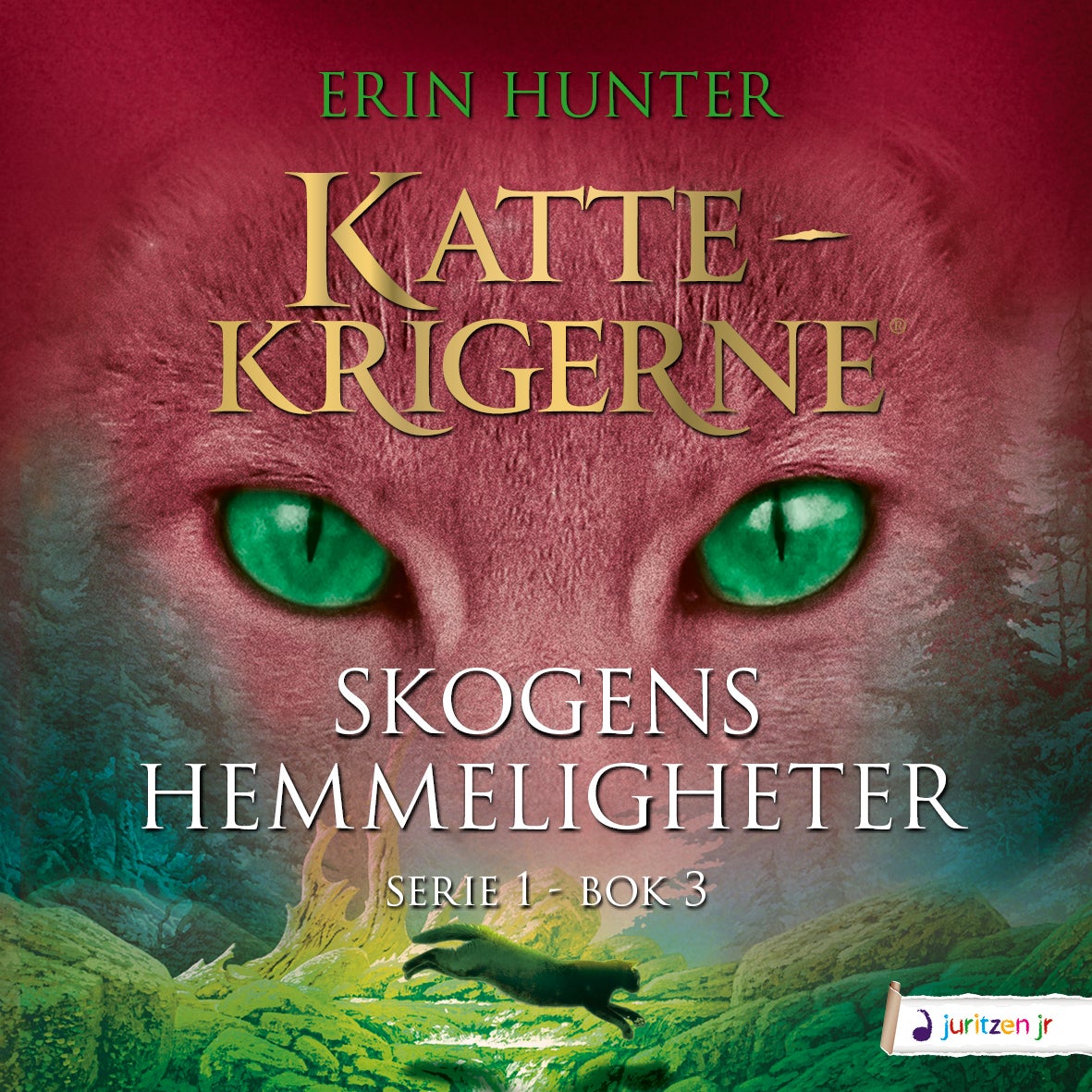 book cover thumbnail