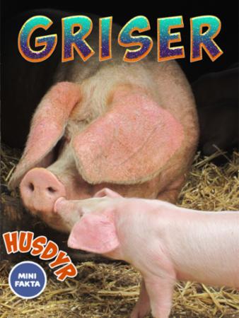 Griser Minifakta