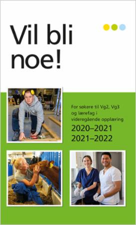 Vil bli noe! - for søkere til vg2, vg3 og lærefag i videregående opplæring : 2020-2021, 2021-2022