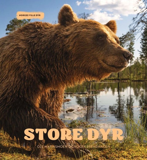 Store dyr - Norges ville dyr