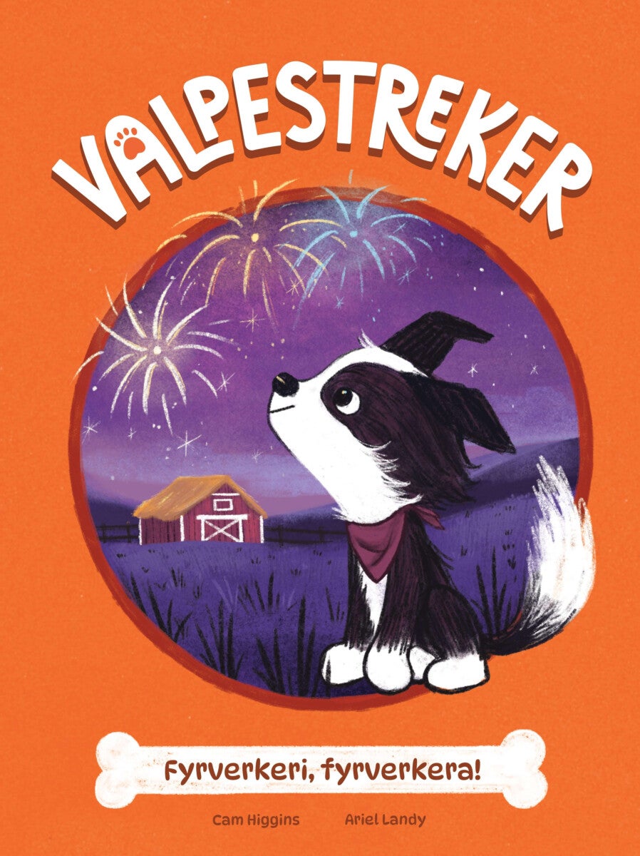 Fyrverkeri, fyrverkera!