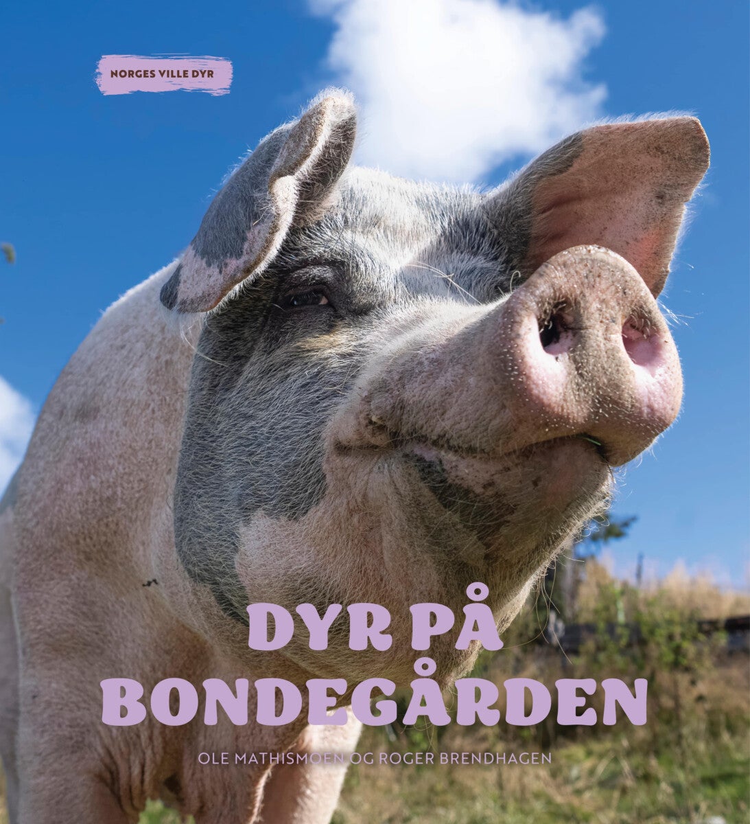 Dyr på bondegården
