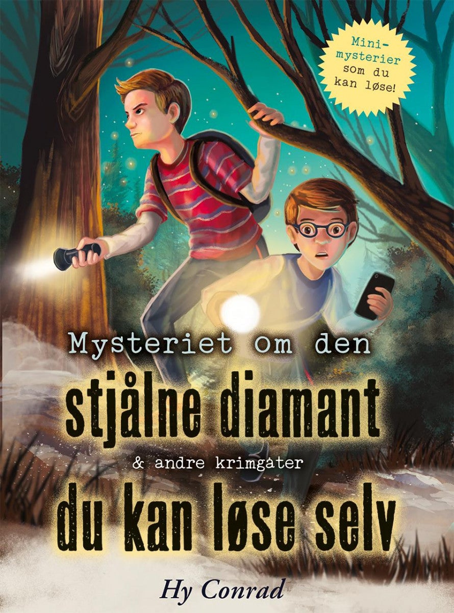 Mysteriet om den stjålne diamant & andre krimgåter du kan løse selv