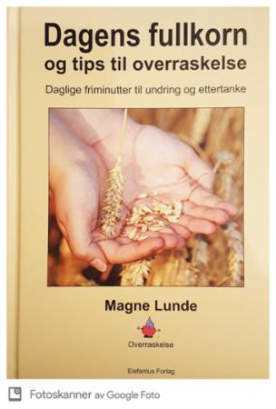 Dagens fullkorn og tips til overraskelse - daglige friminutter til undring og ettertanke