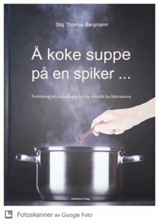 Å koke suppe på en spiker... - forklaring på dagligdagse ord og uttrykk fra litteraturen
