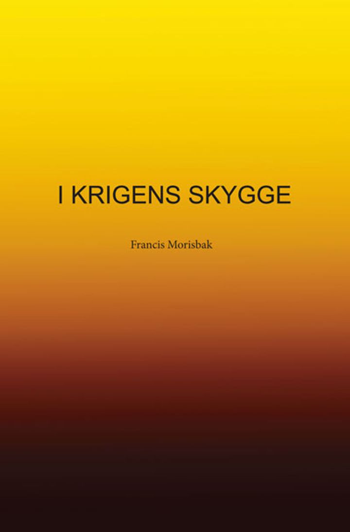 I krigens skygge