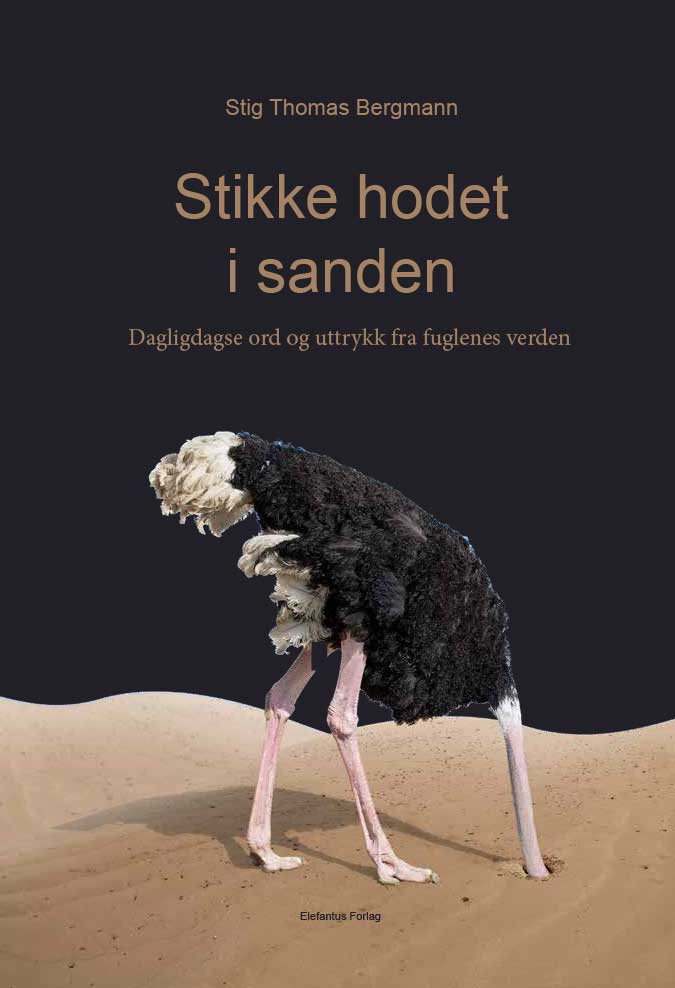 Stikke hodet i sanden - dagligdagse ord og uttrykk fra fuglenes verden