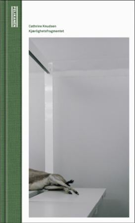Kjærlighetsfragmentet - roman