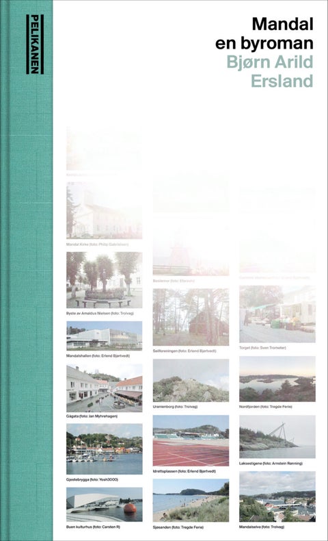 Mandal - en byroman