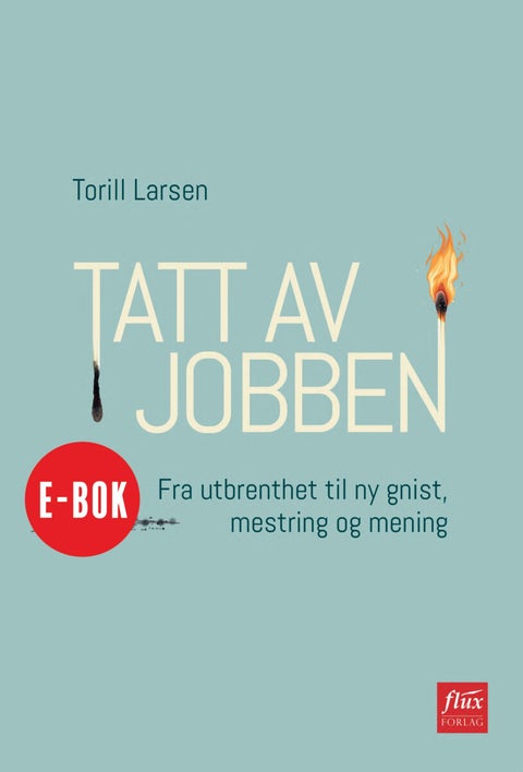 Tatt av jobben - fra utbrenthet til ny gnist, mestring og mening