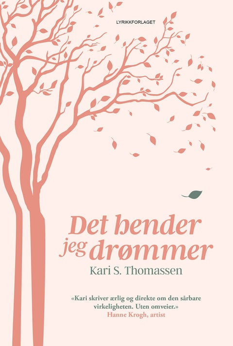 Det hender jeg drømmer