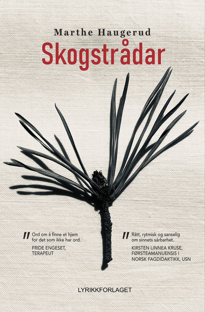 book cover thumbnail