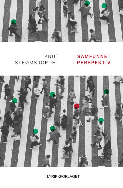 Samfunnet i perspektiv