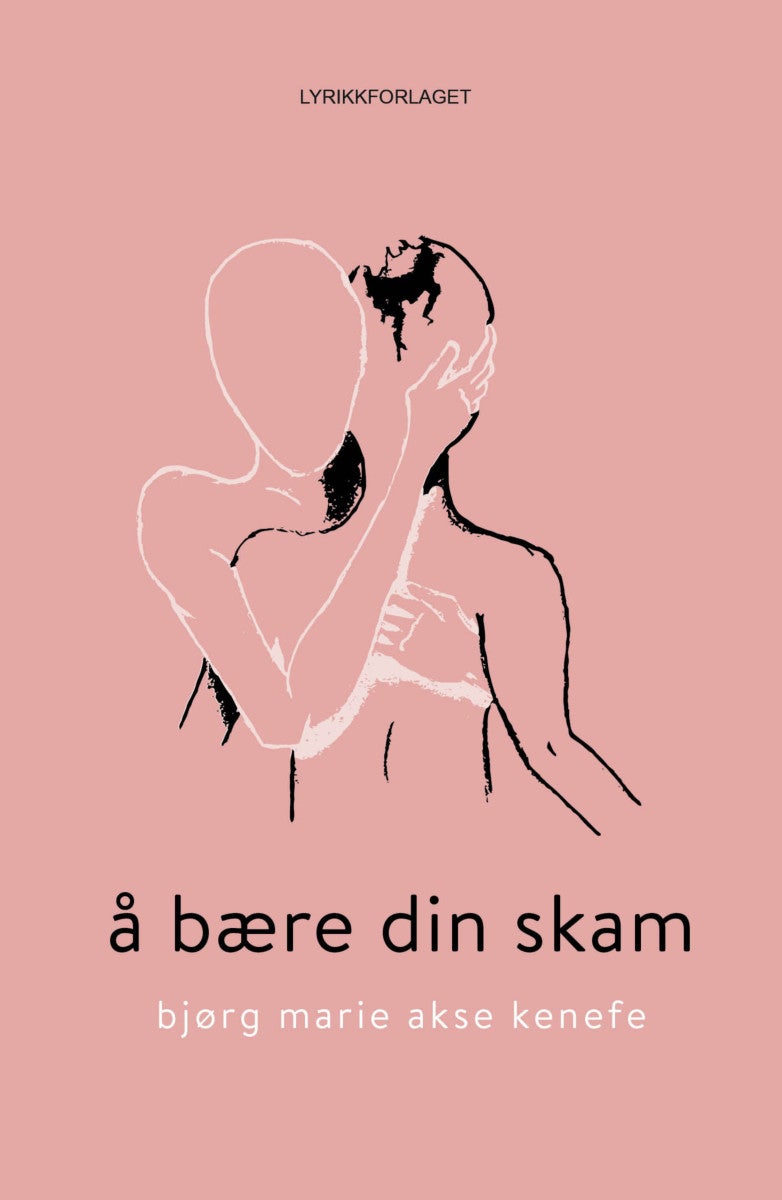 Bilde av Å Bære Din Skam Av Bjørg Marie Akse Kenefe