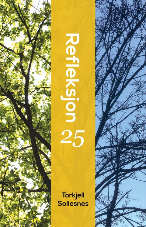 Refleksjon 25